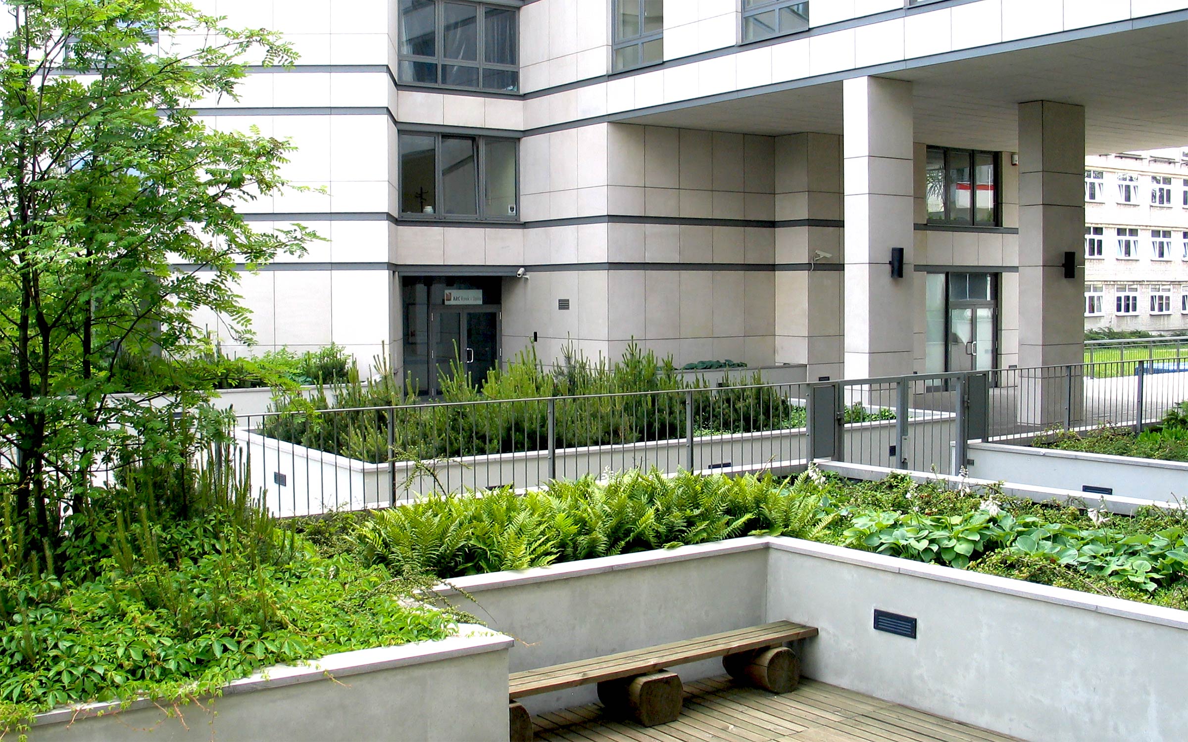 Roof garden with wooden bench